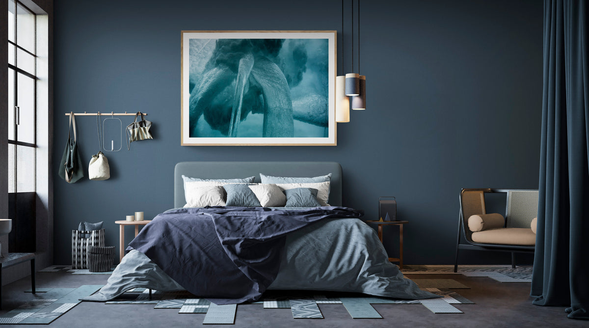 Vortex – Premium Print Enquiry